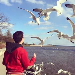 Meet your Posher, Jamal