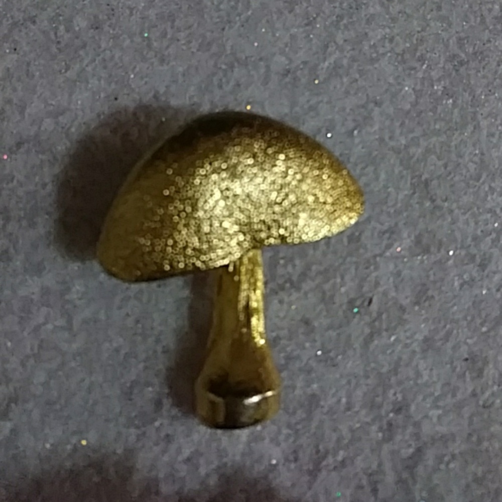 Pin