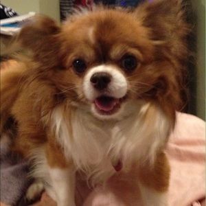 Meet your Posher, Sandra