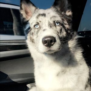 Meet your Posher, Liz