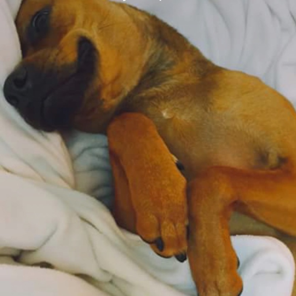 Meet your Posher, Gina