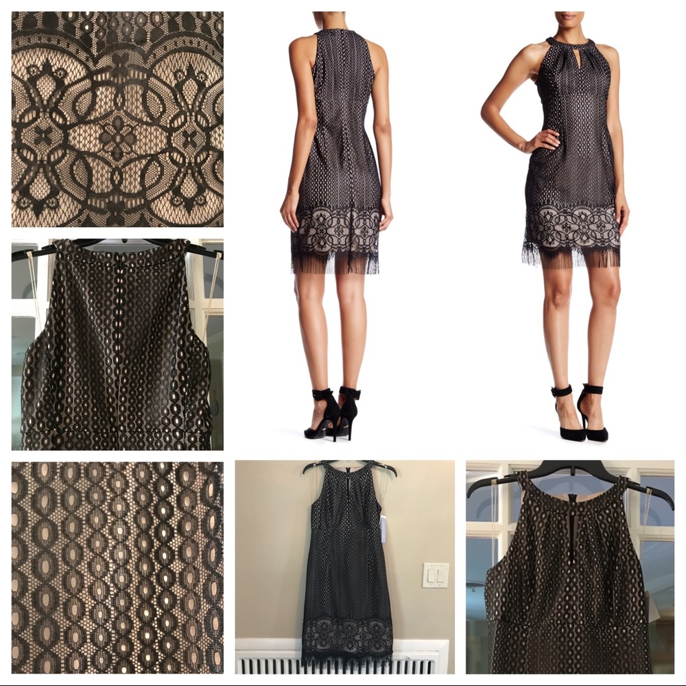 London Times (NWT) Lace / Fringe Hem Dress Size 12