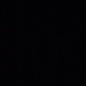 Meet your Posher, Leo