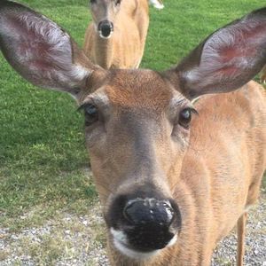 Meet your Posher, Mary