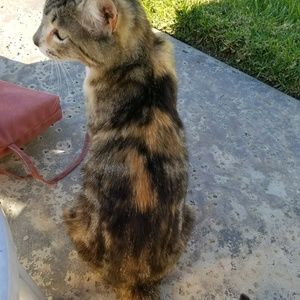 Meet your Posher, Bryanna