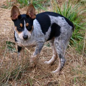 Meet your Posher, April