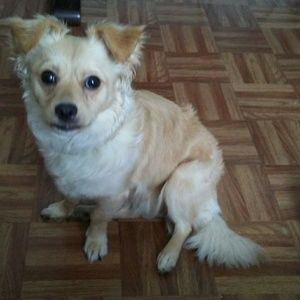 Meet your Posher, Wendy