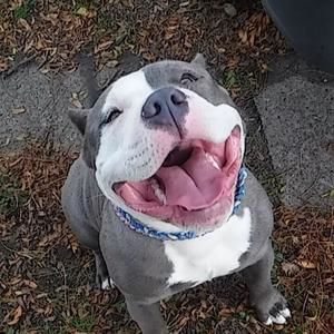 Meet your Posher, Luke