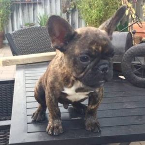 Meet your Posher, Anthony