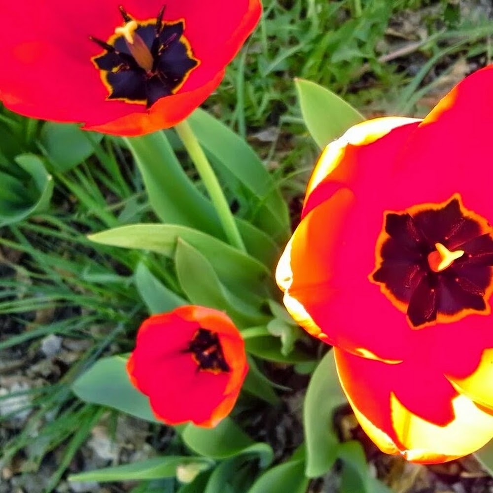 Meet your Posher, Corinna