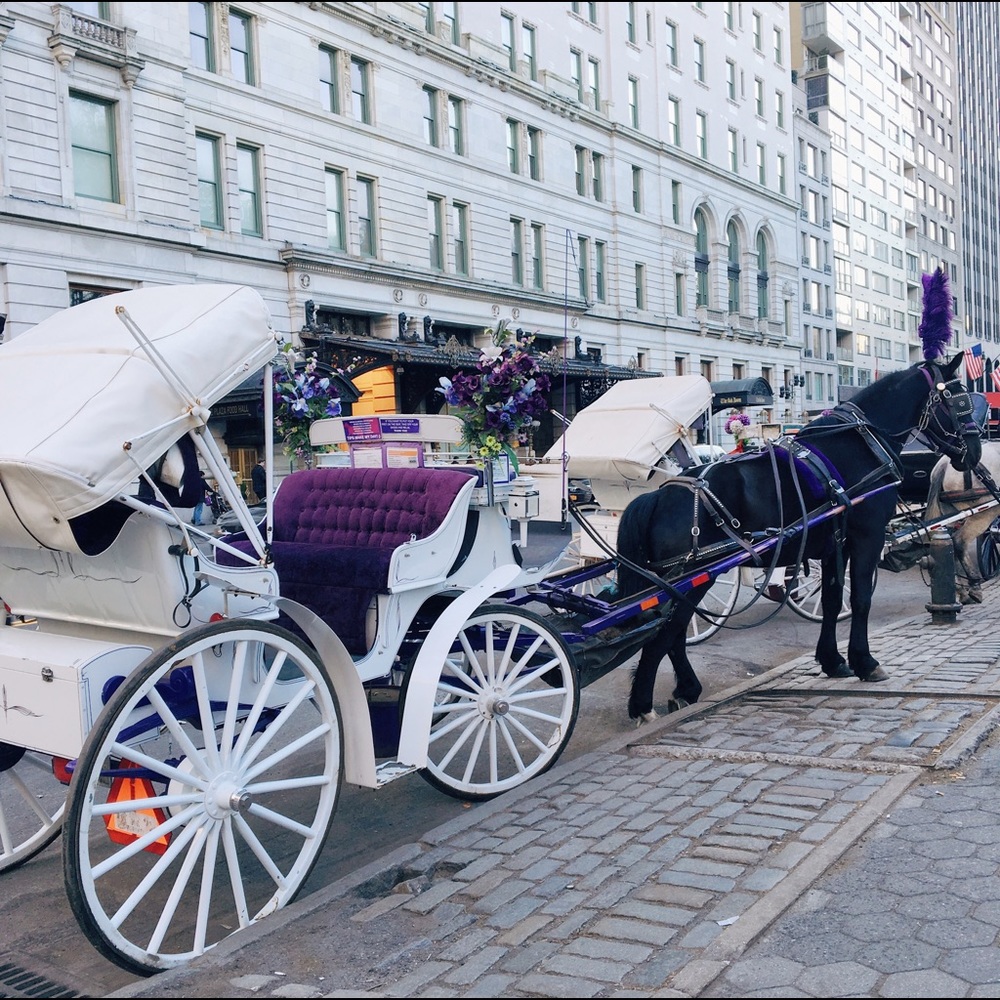 Meet your Posher, Sylvia