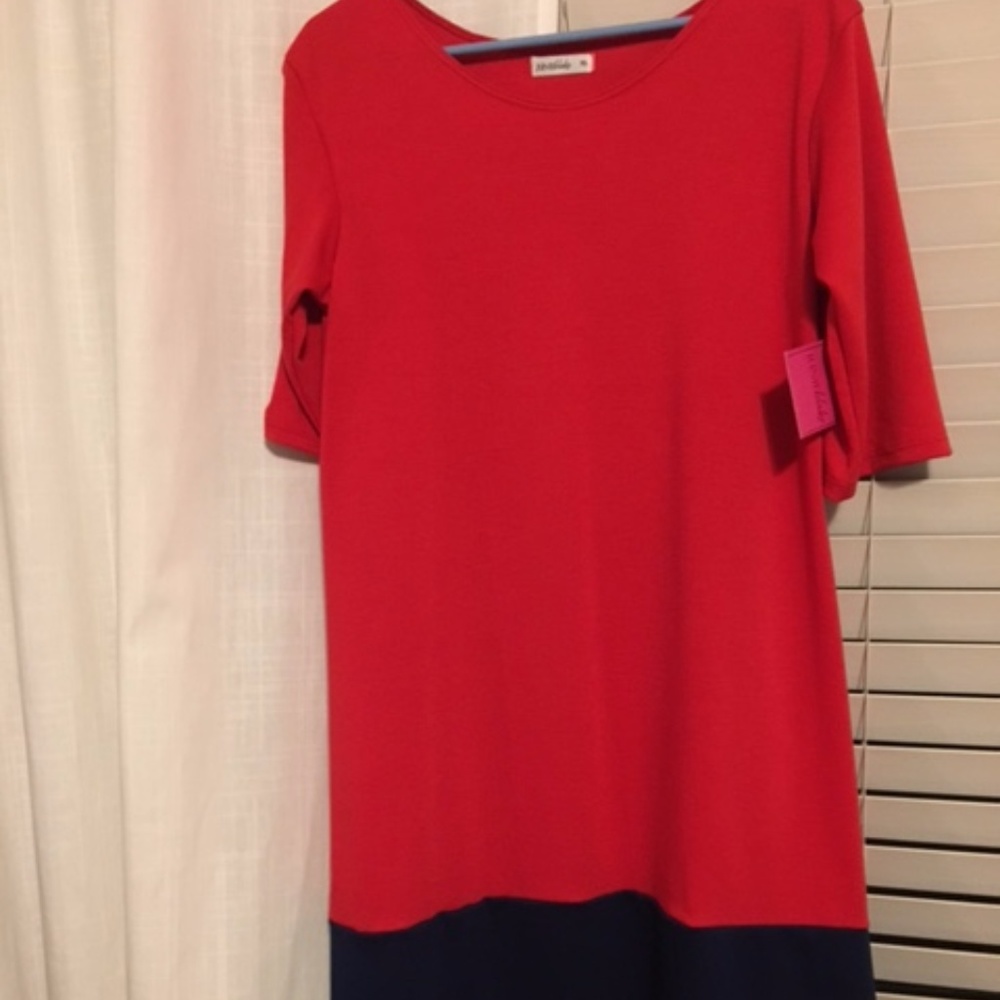 JunieBlake stretchy tunic dress (XL)