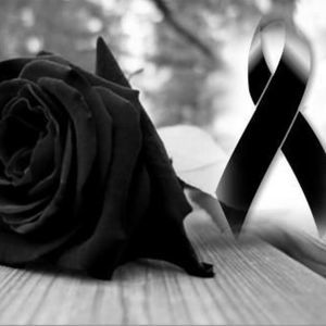 Meet your Posher, Vitória