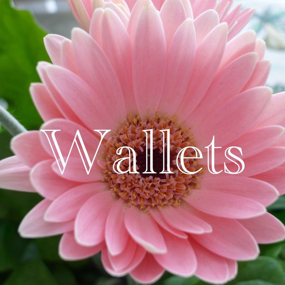 Wallet Section