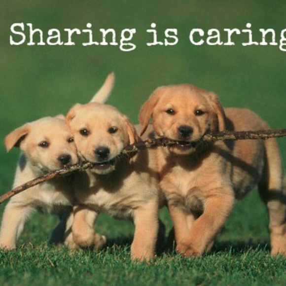 Share 10 for 10!!!! and Follow Game! - Picture 7 of 7