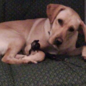 Meet your Posher, Cory