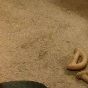 Meet your Posher, Gina