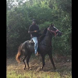 Meet your Posher, Mike