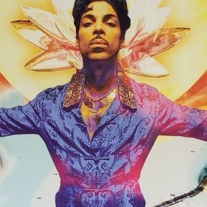 Meet your Posher, Lasonya