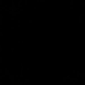 Meet your Posher, Ericka