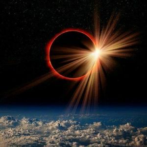 Meet your Posher, Laci