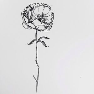 Meet your Posher, Natasha