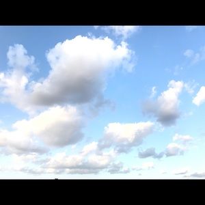 Meet your Posher, Sophia