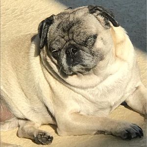 Meet your Posher, Maria