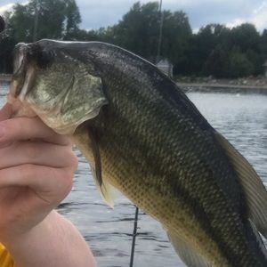 Meet your Posher, Matthew