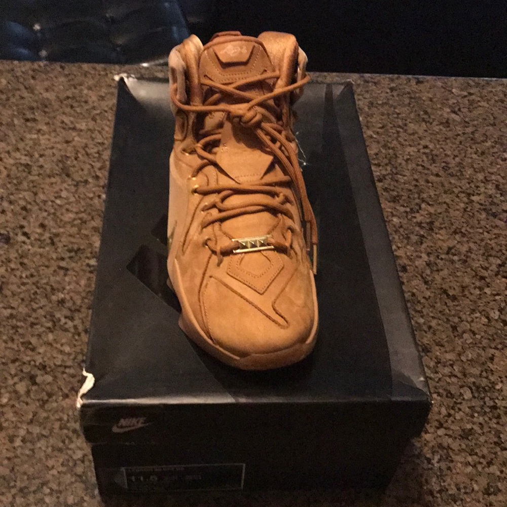 Lebron xll ext qs