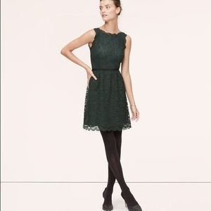 Loft green lace holiday dress