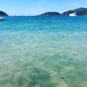 Meet your Posher, Alice k