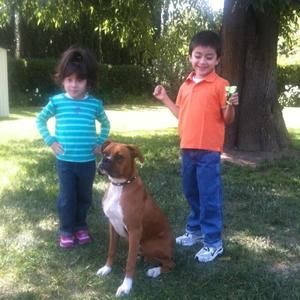 Meet your Posher, Andres h