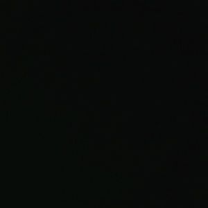 Meet your Posher, Trey