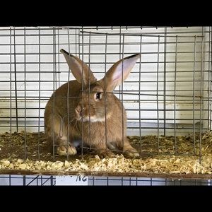 Meet your Posher, Michele