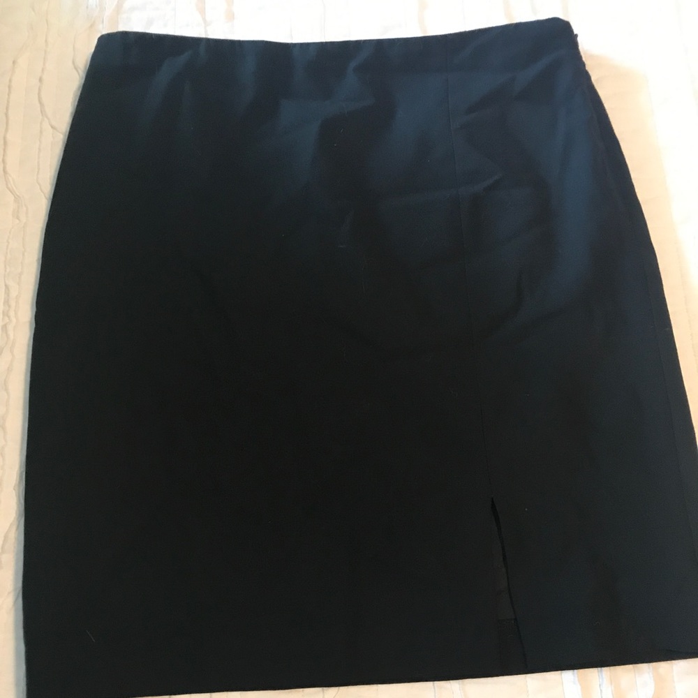 Express Work Skirt