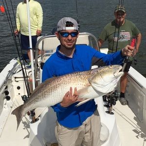 Meet your Posher, Josh