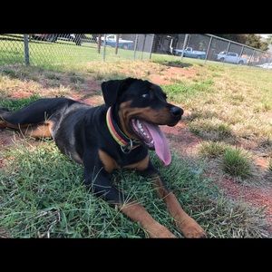 Meet your Posher, Michael