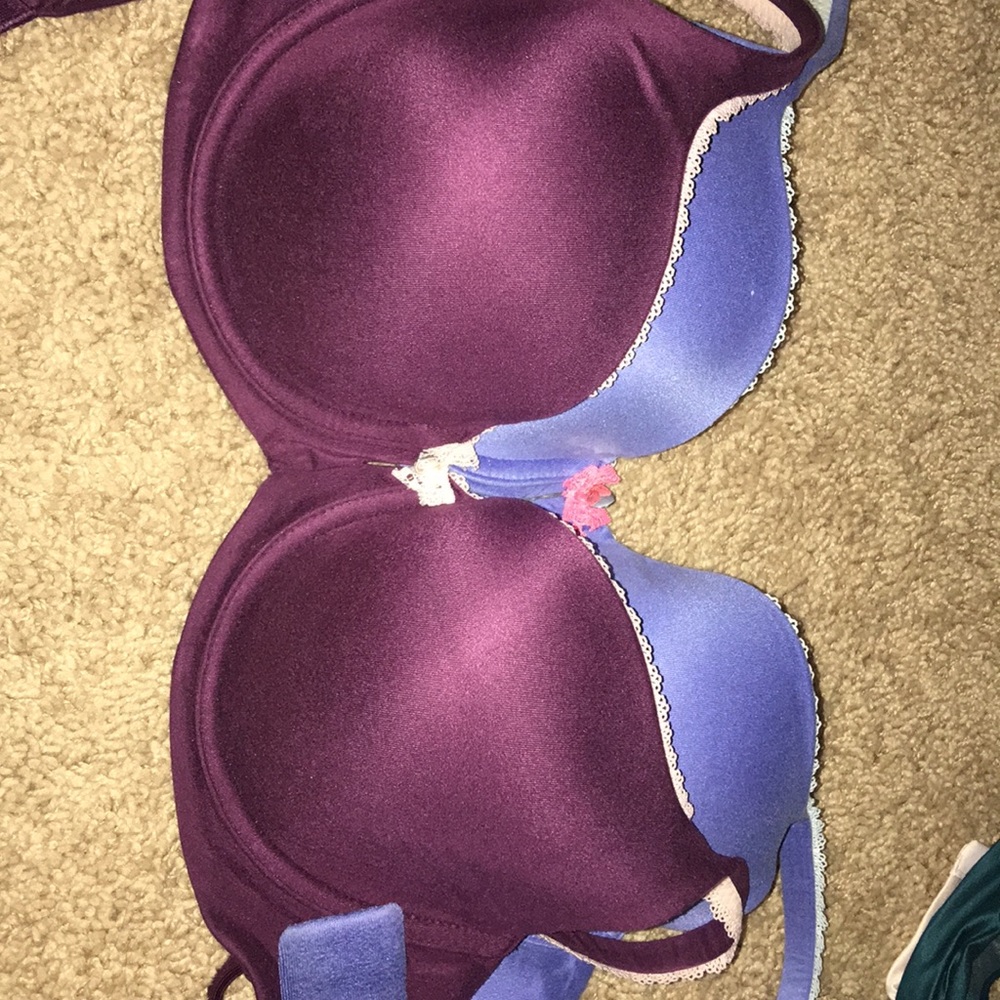 Body by Victoria 32DD 2 bras