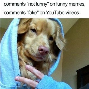 Meet your Posher, Bob