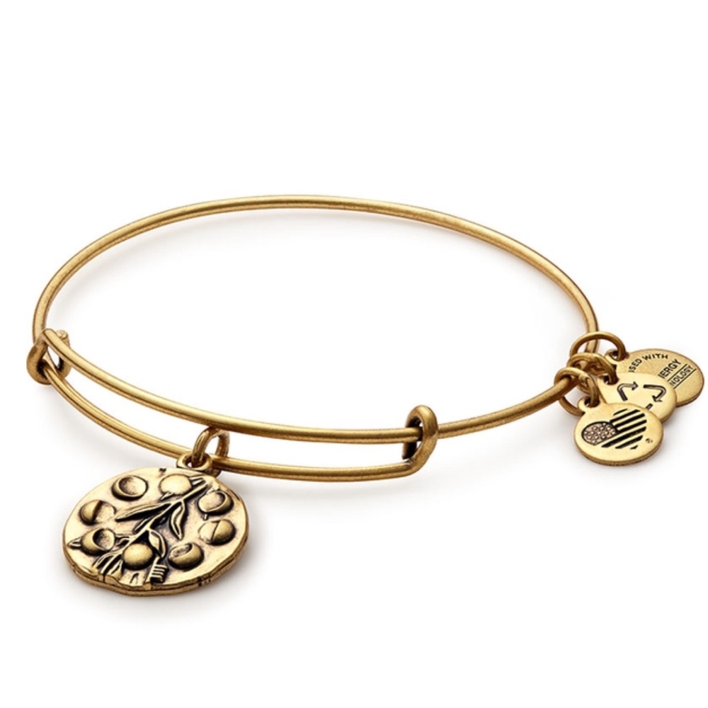 ALEX and ANI Willow bracelet