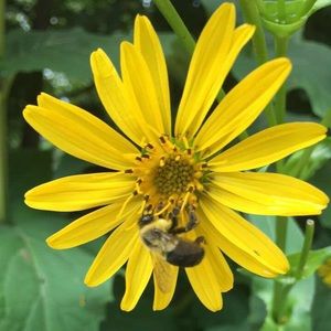 Meet your Posher, Hailey