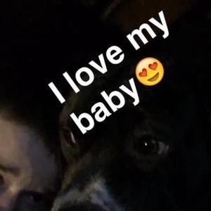 Meet your Posher, Noah