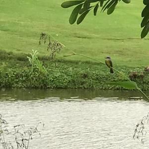 Meet your Posher, Nickie