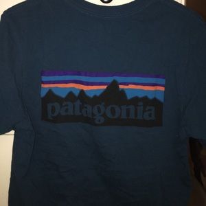 Patagonia Tshirt