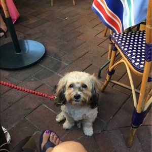 Meet your Posher, Carla