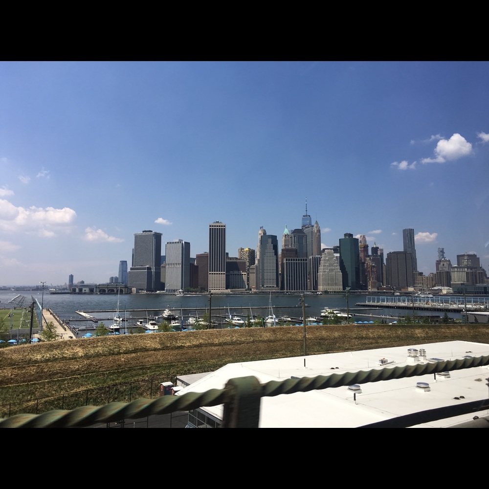 Meet your Posher, Dina