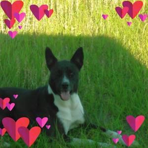 Meet your Posher, Jengsky