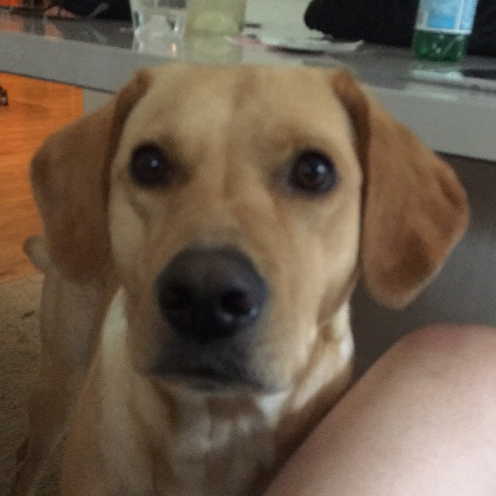 Meet your Posher, Jie