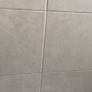 Meet your Posher, Rose